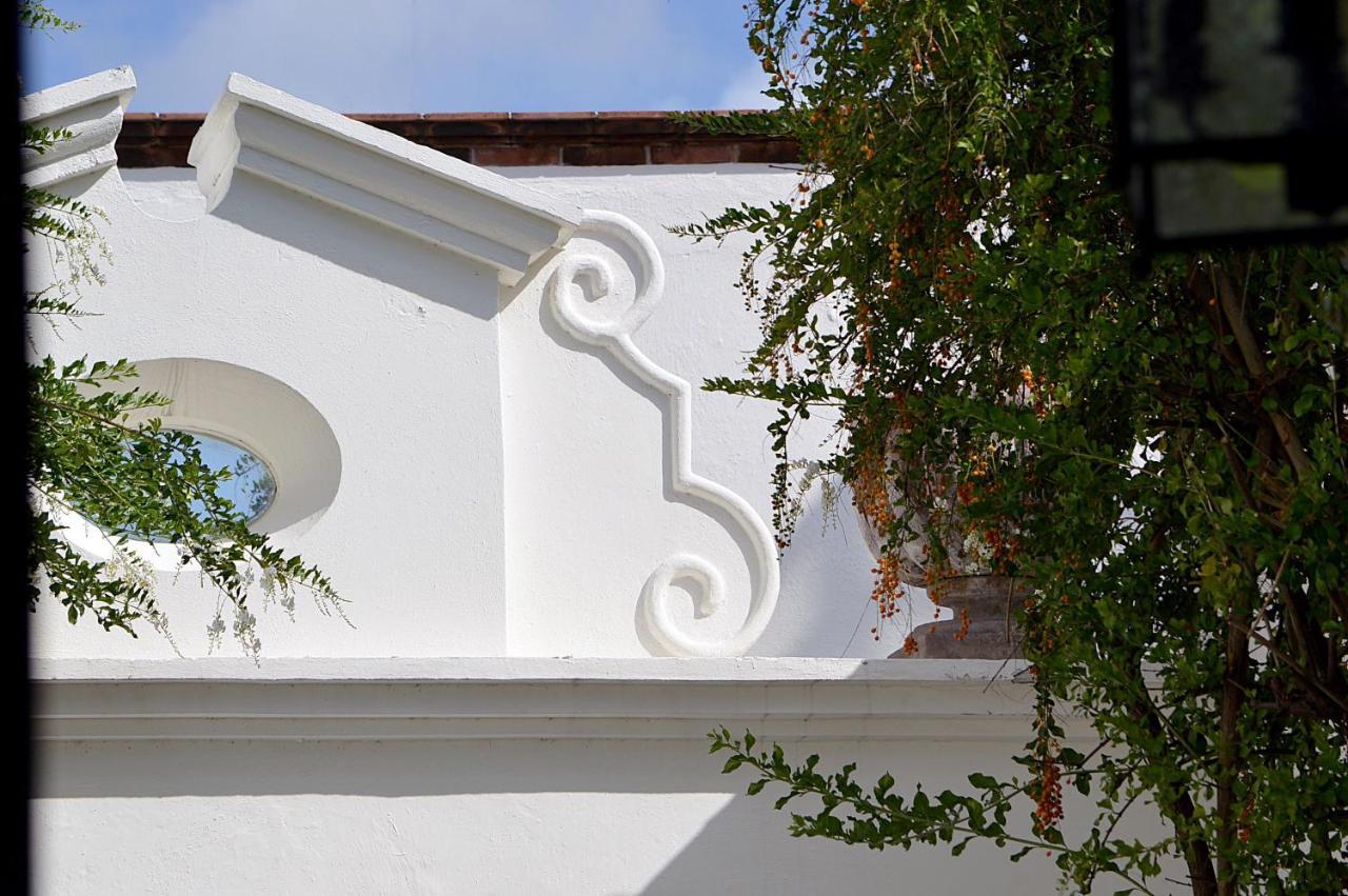 Casa De Los Olivos Сан Мигел де Аленде Екстериор снимка