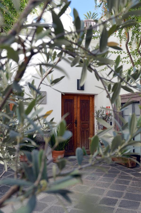 Casa De Los Olivos Сан Мигел де Аленде Екстериор снимка